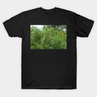 Wintery Berries T-Shirt